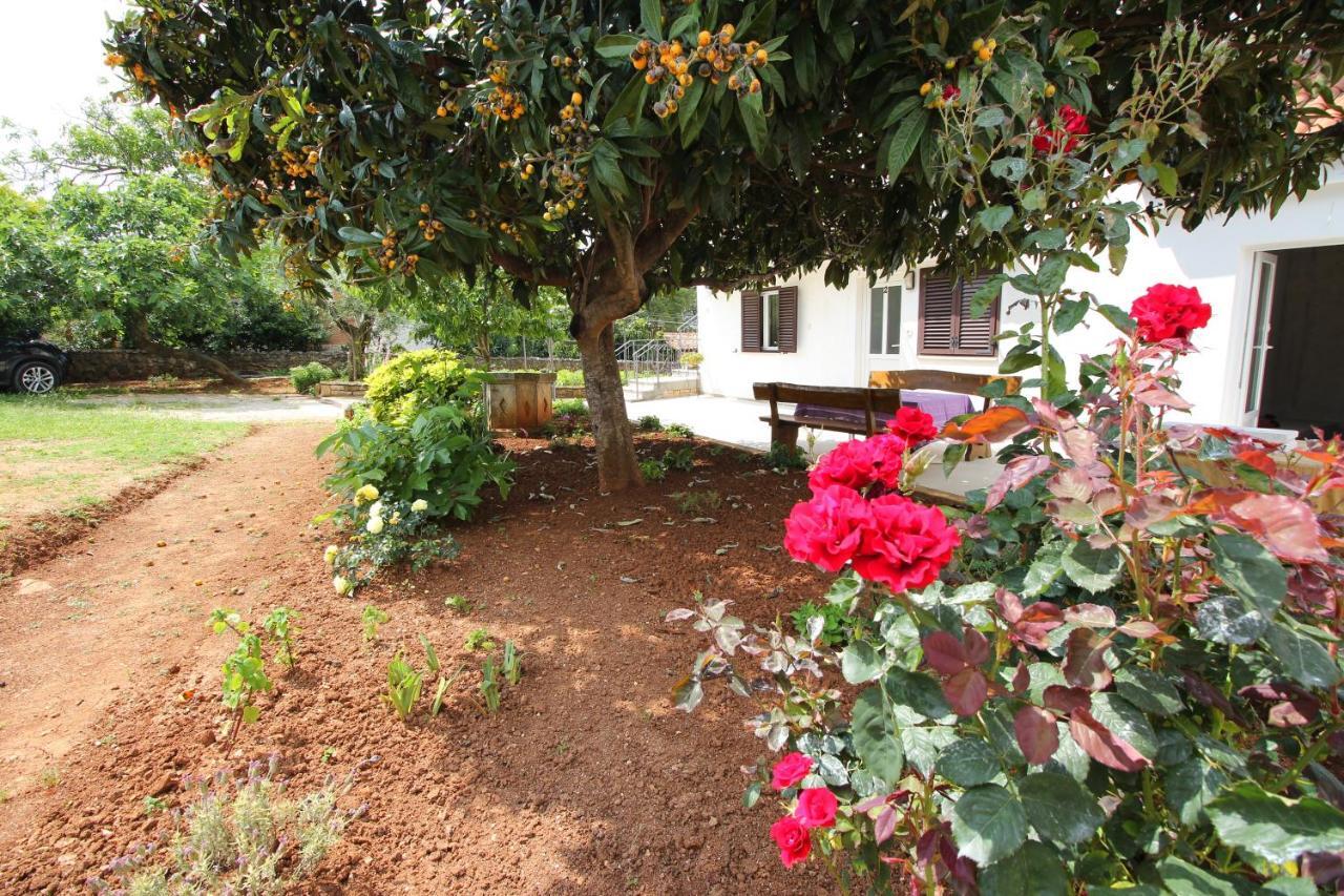 דירות רוביני Casa Lidija מראה חיצוני תמונה
